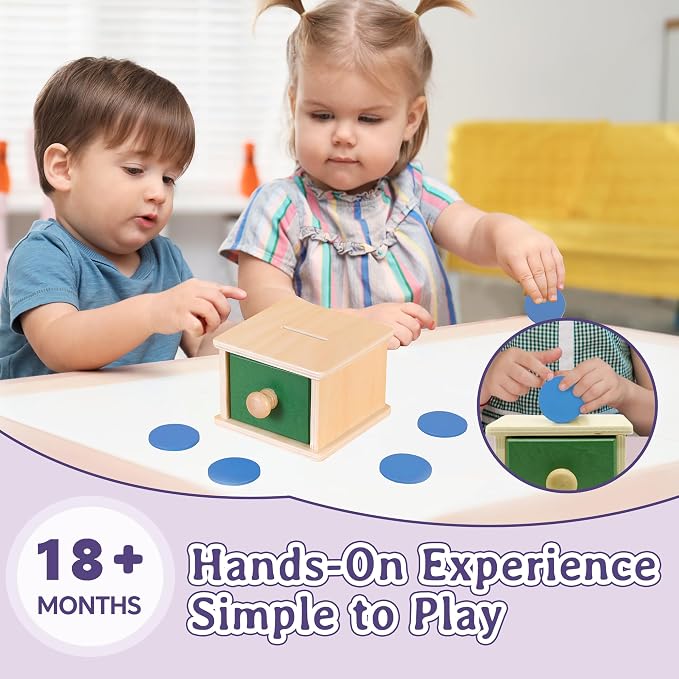 Montessori Wooden Coin Box with Drawer for Baby 18+ Months, Coin Sorter Fine Motor Toys for Kids, Motessori Classroom Learning & Educational Resources Toys Gifts
