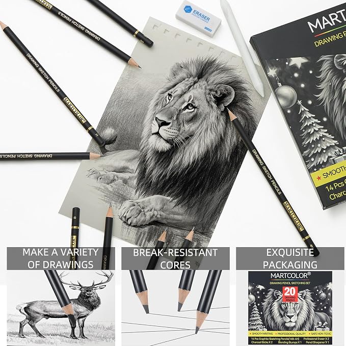 MARTCOLOR Drawing Sketching Pencil Set, 20 Pieces, Graphite Pencils (14B-4H), Charcoal Sticks, Stump, Eraser, Sharpeners, Ideal for Drawing Art, Sketching, Artist Pencils for Beginners & Pro Artists