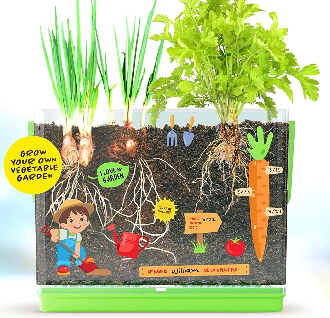 Dan&Darci Root Viewer Kit for Kids - Grow Your Own Plant for Boys & Girls Gifts - Science STEM Toy & Craft Growing Kits for Ages 4-8 Birthday Gifts for Boy, Girl 4, 5, 6, 7, 8, Year Old