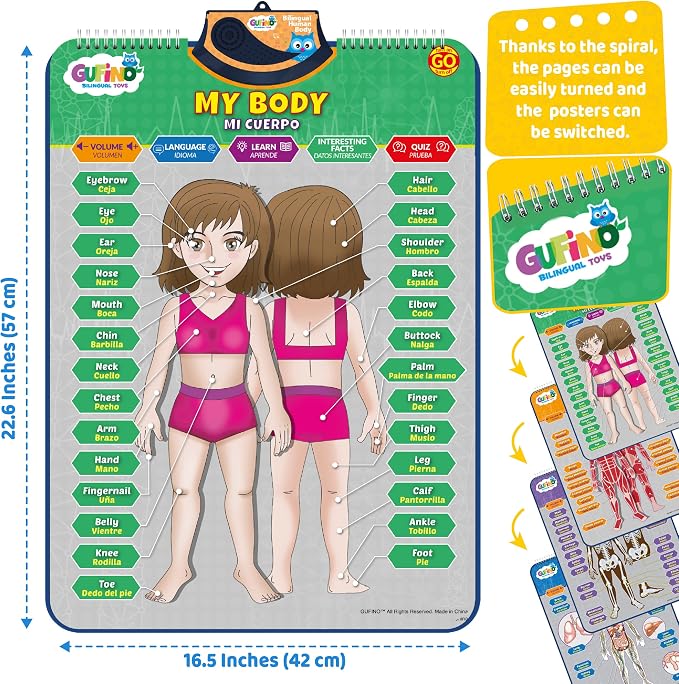 Bilingual Human Body Model for Kids – Interactive Human Anatomy for Kids with Games & Quizzes – Educational Posters for Learning Body Parts, Bones & Organs. English and Spanish for Kids.