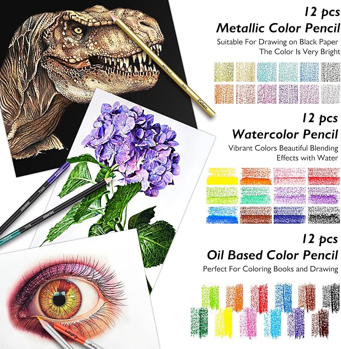 Caliart 176PCS Art Supplies Sketching Kit with 100 Sheets 3-Color Sketch Book, Graphite Colored Charcoal Watercolor & Metallic Pencils, Drawing Set Gifts for Adults Teens Girls Boys Kids