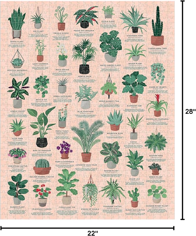 Ridley's Games: House Plants 1000-Piece Jigsaw Puzzle | Perfect for Plant Owners with Over 30 Unique Plants | Perfect Room Décor Once Completed | Storage Tube Included