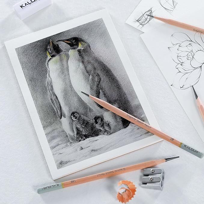 KALOUR 18-Piece Professional Sketch Pencil Set - Includes 5H to 14B Pencils, Vinyl Eraser, Kneaded Eraser,Sharpener and Paper Blending Stump - Ideal for Artists and Beginners