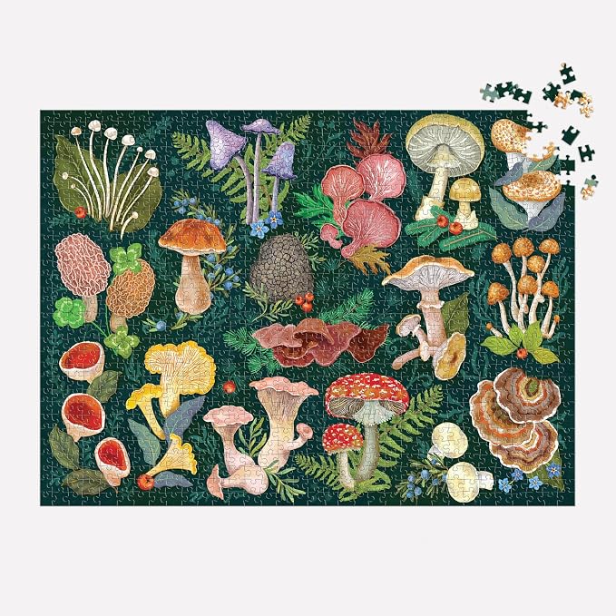 Galison World of Mushrooms – 1000 Piece Jigsaw Puzzle Featuring Beautiful Painted Artwork of A Mushroom and Fungi Collection