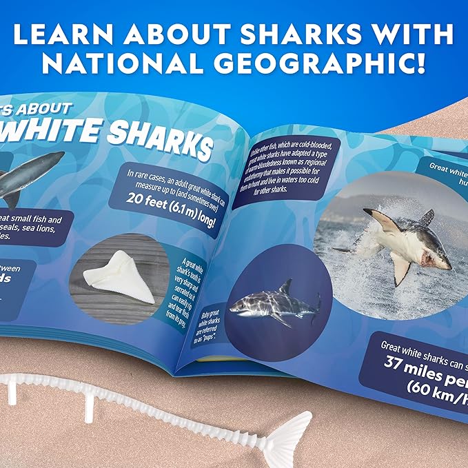 National Geographic Shark Dissection Kit – Glow in the Dark Great White Shark Anatomy Lab with 12 Bones & Organs, Refill Pack, Kid-Friendly Tools & Learning Guide