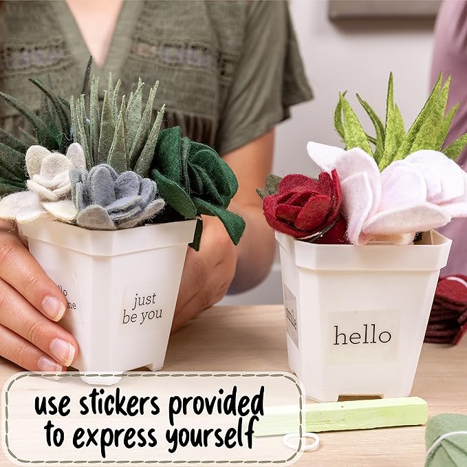 Hapinest DIY Potted Felt Succulents Craft Kit for Adults Women Teens and Seniors, Arts & Crafts for Ages 6 Years and Up