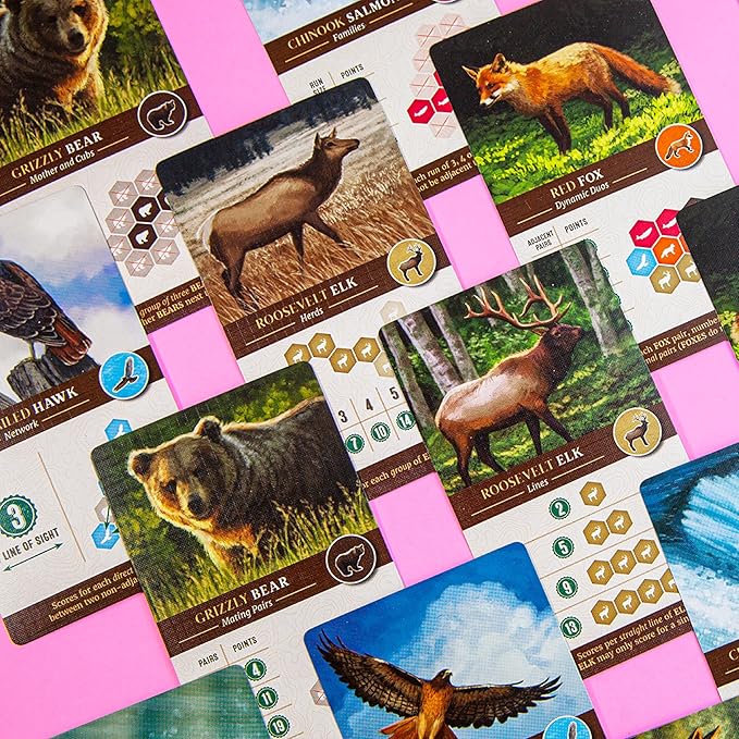 AEG & Flatout Games | Cascadia - Award-Winning Board Game Set in the Pacific Northwest | Easy to Learn | Quick to Play | Ages 10+