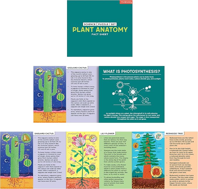 Plant Anatomy Science Puzzle Set from Mudpuppy - Includes Three 100 - Piece Puzzles with Colorful Illustrations, Ages 6+, Trifold Insert with Fun Science Facts Included