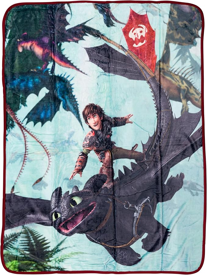 Silver Buffalo How to Train Your Dragon Plush Fleece Throw Blanket Featuring Hiccup and Night Fury, 45" x 60"