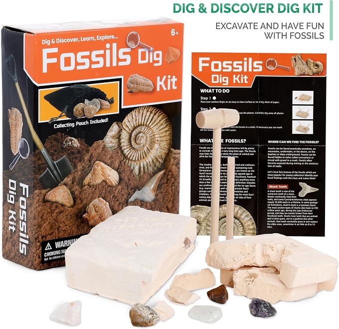 IQCrew By AMSCOPE KIDS - Black Metal Arm Starter Kids Student Compound Microscope Kit with Fossil Dig Activity Kit and Insect Slides