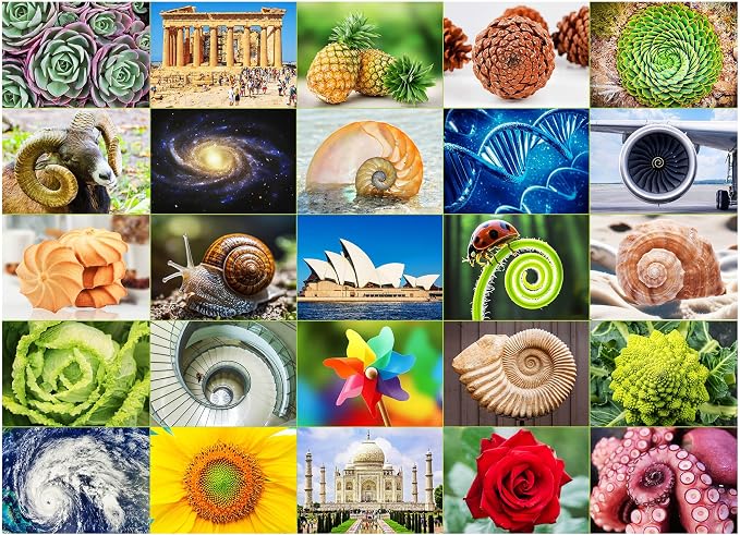BenBen 1000 Piece Puzzle for Adults, 25 Fibonacci Spirals in Nature, Jigsaw Puzzles with Letters on Back, Challenging Puzzle for Game Night Home Décor