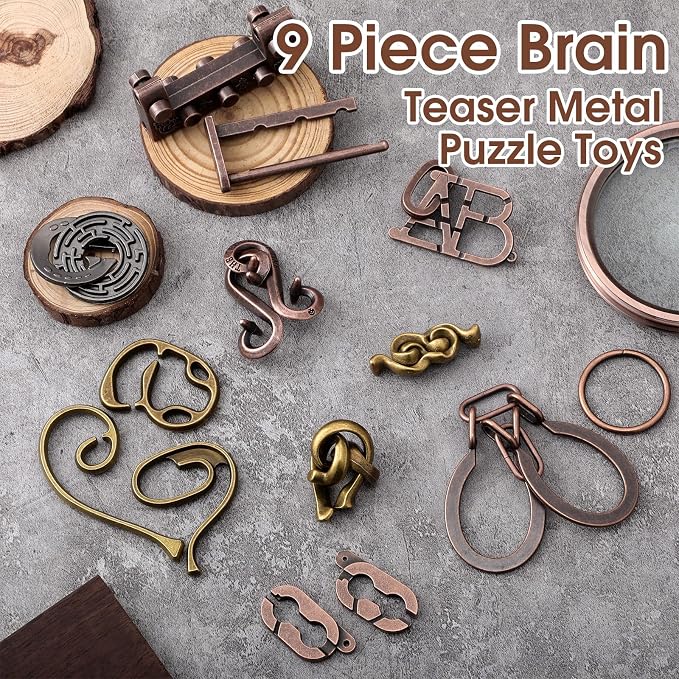 Wettarn 9 Pcs Metal Brain Teaser Puzzles 3D Steel Puzzle Set for Adults IQ Logic Challenge Disentanglement Unlock Interlocking Games Smart Logic Test Toys for Adults Mind Challenge(Fashion Style)