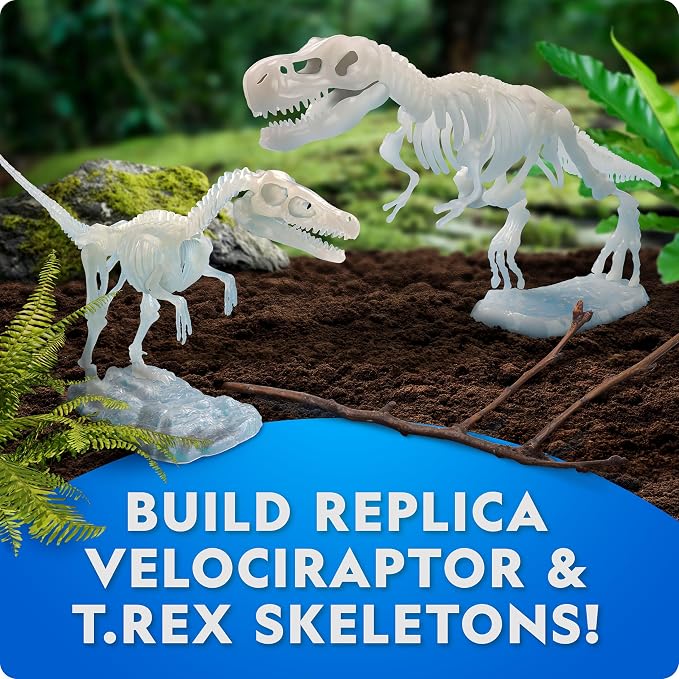 National Geographic Glow-in-The-Dark Dinosaur Skeleton Model Building Kit – Build Replica Velociraptor & T. rex Bones, Educational Dinosaur Egg Activity Kit, Fossils for Kids 5-7